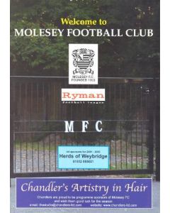 Molesey Community Team vChelsea Old Boys official programme 13/02/2005